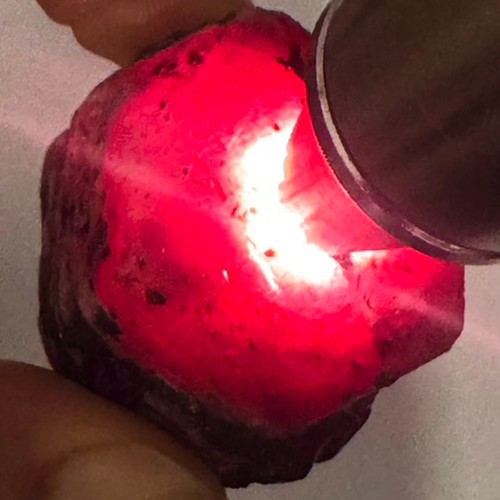 287 naturale 100 - -,