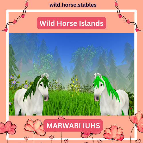 Wild horse islands isola di - wild,