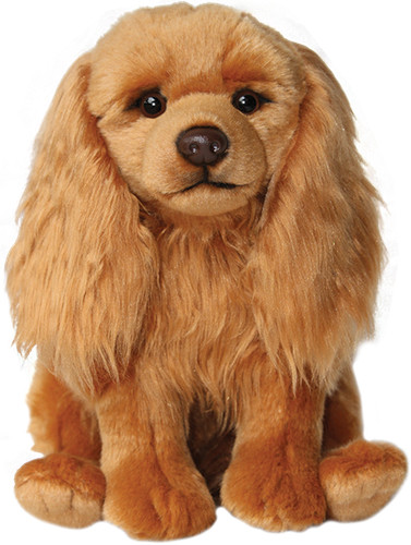 Ruby cavalier king charles - ruby,
